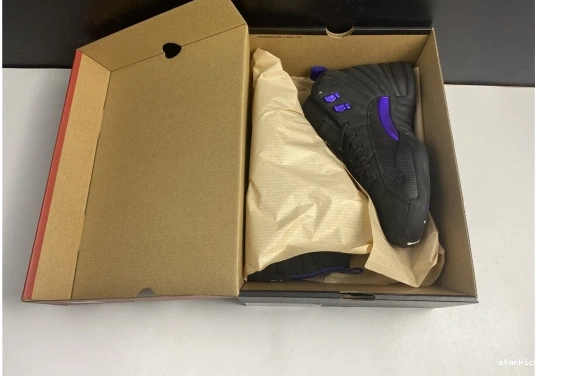 Black Dark Jordan CT8013-005 Air 12 Retro CT8013-005 Concord 0126